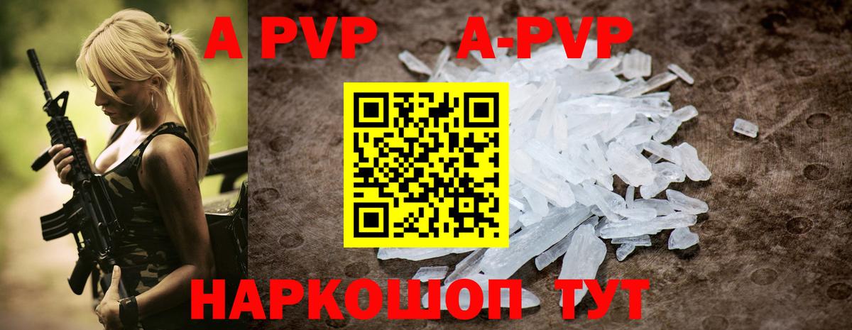 А ПВП СК КРИС Камышин