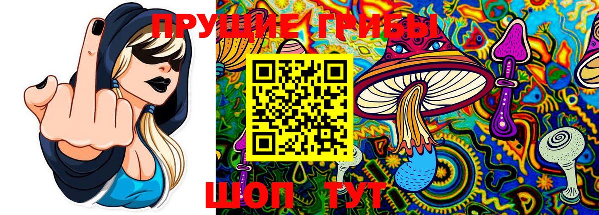 Галлюциногенные грибы MAGIC MUSHROOMS  Псилоцибиновые грибы мицелий  Вход с VPN  Камышин 